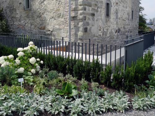 Hedging plants provide a border around the atria